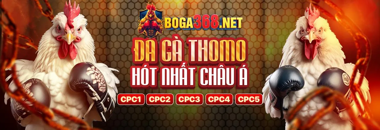 Đá gà trực tuyến kịch tính tại w88vt chính thức